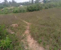 1¼ acres available in kendubay