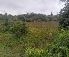 1¼ acres available in kendubay